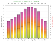 Bar Chart